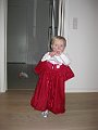 IMG_2441