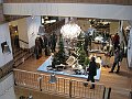IMG_2773