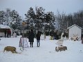 IMG_2842