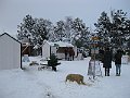 IMG_2843