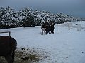 IMG_2854