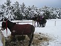 IMG_2856