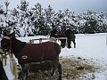 IMG_2858