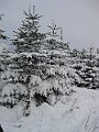 IMG_2878