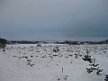 IMG_2880