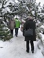 IMG_2889