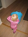 IMG_2459