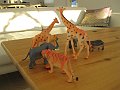 IMG_3059