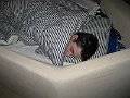 IMG_3173