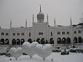 IMG_3226
