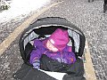 IMG_3228