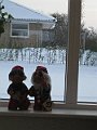 IMG_2938