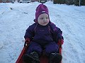 IMG_2948