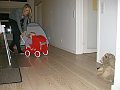 IMG_2962