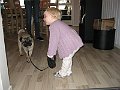 IMG_4172