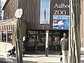IMG_4176