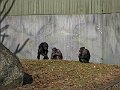 IMG_4178