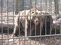 IMG_4190