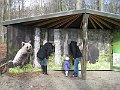 IMG_4193