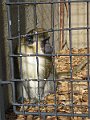 IMG_4199