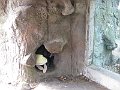 IMG_4205