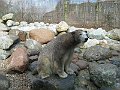 IMG_4213
