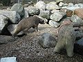 IMG_4218