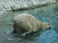 IMG_4232