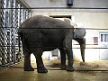 IMG_4271