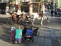 IMG_4503