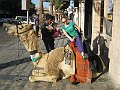 IMG_4507