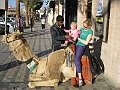 IMG_4509