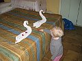 IMG_4619
