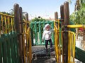 IMG_4882