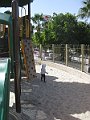 IMG_4883