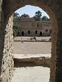 IMG_5202
