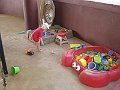 IMG_5380