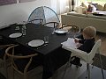 IMG_5687