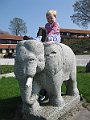 IMG_5730