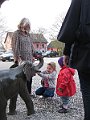 IMG_5919