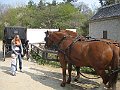 IMG_5807