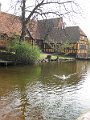 IMG_5825