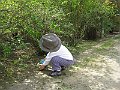 IMG_5990
