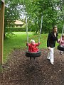 IMG_6247
