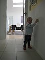 IMG_6194