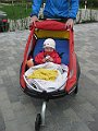 IMG_6231