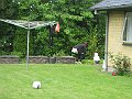 IMG_6806