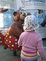 IMG_6348