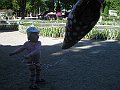 IMG_6385