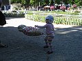 IMG_6388